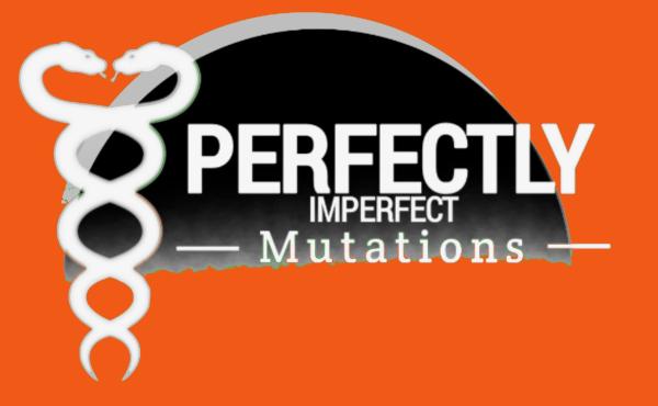 Vendor Logo