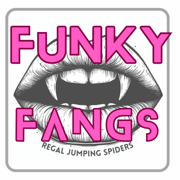 Funky Fangs Logo