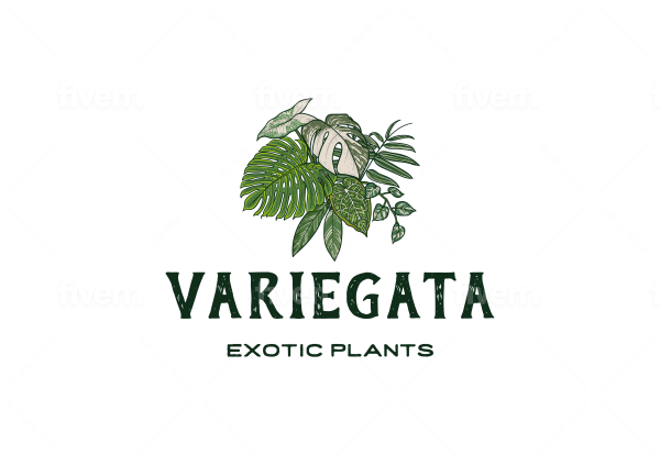 Variegata Exotic Plants Logo