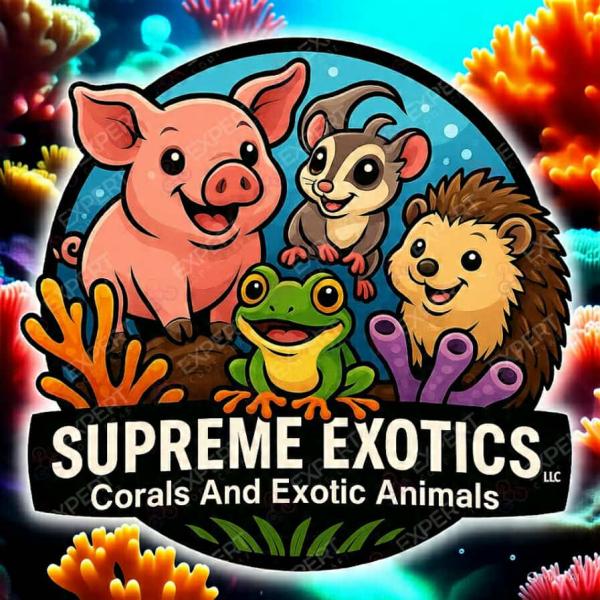 Vendor Logo