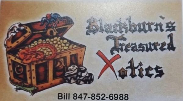 Vendor Logo