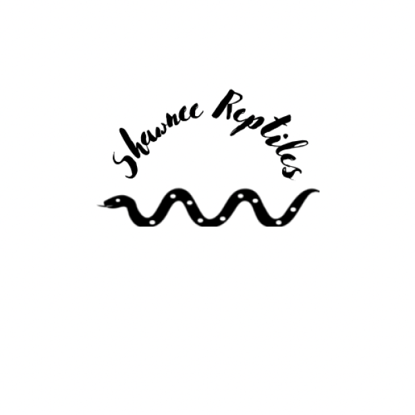 Vendor Logo