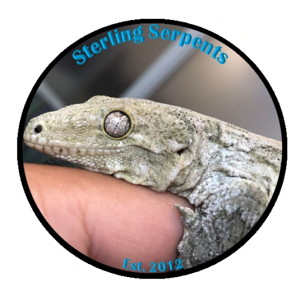 Vendor Logo