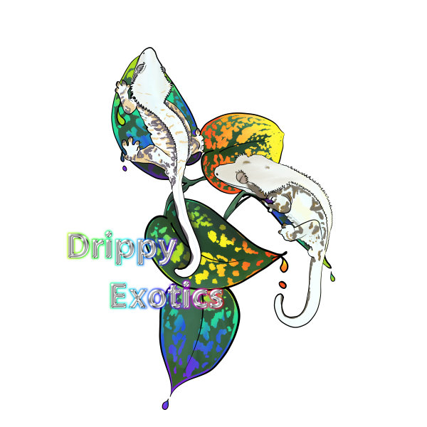 Vendor Logo
