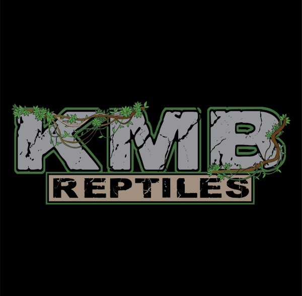 Vendor Logo