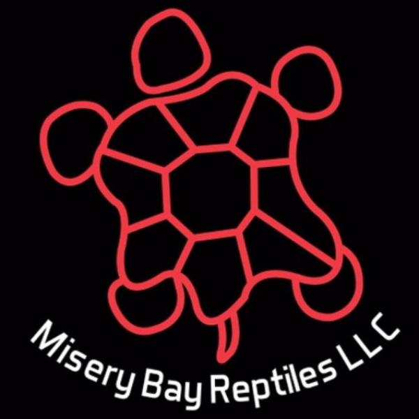 Vendor Logo