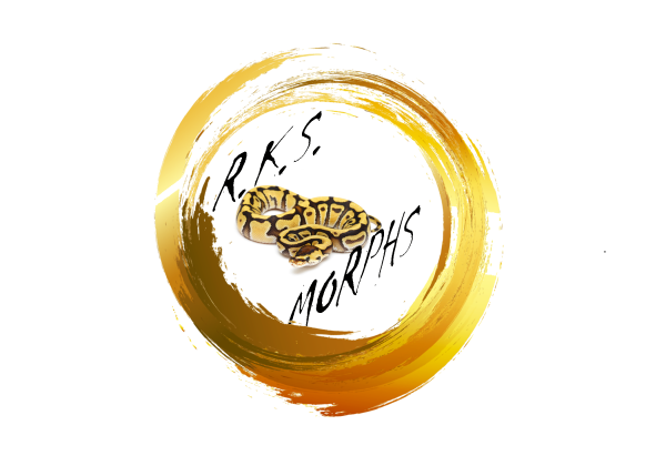 Vendor Logo