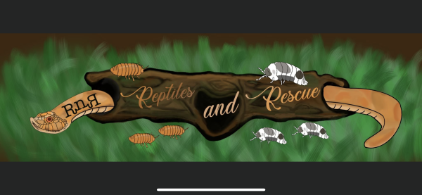 Vendor Logo