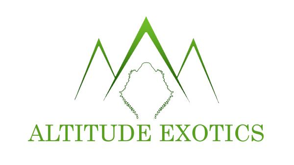 Altitude Exotics Logo