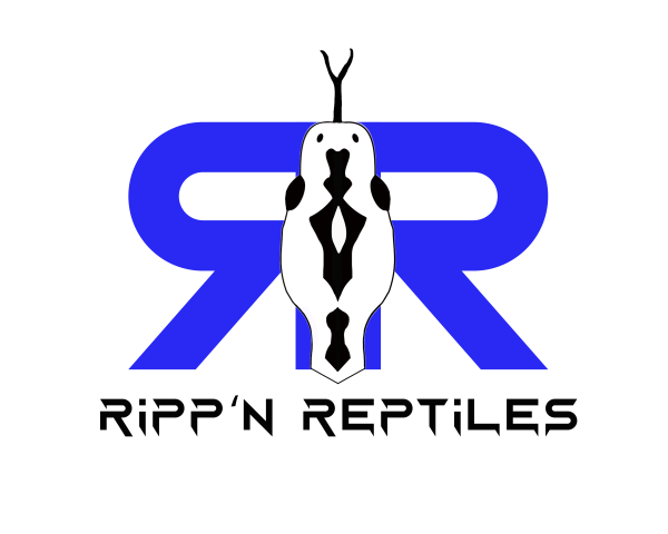 Vendor Logo