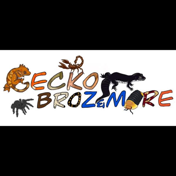 Vendor Logo