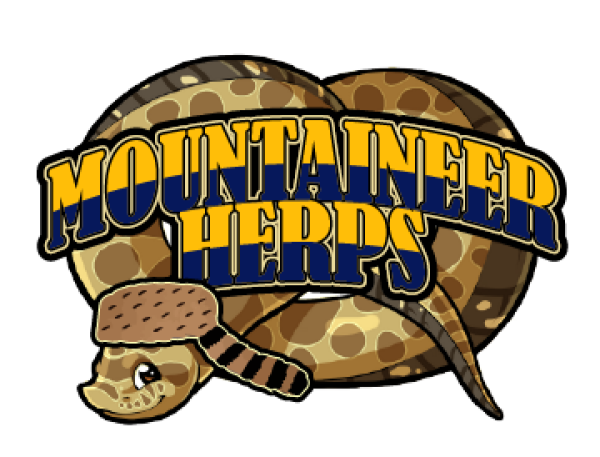 Vendor Logo