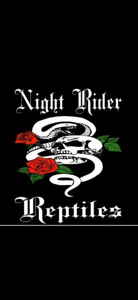 Night Rider Reptiles Logo
