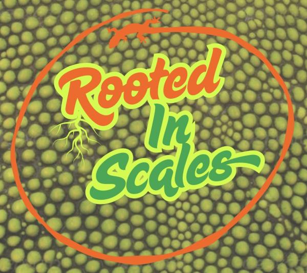 Vendor Logo