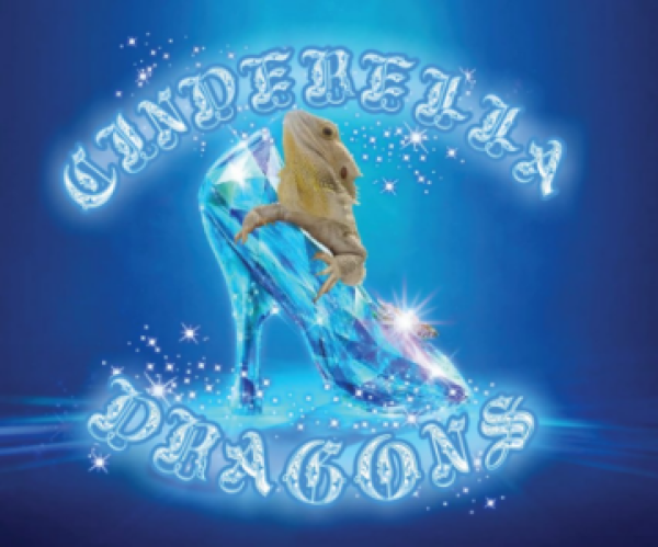 Vendor Logo