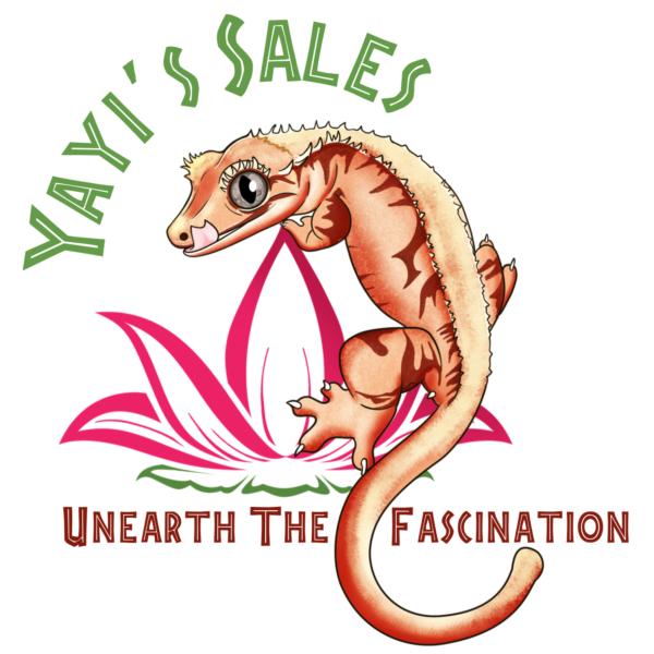 Vendor Logo