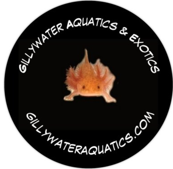 Gillywater Aquatics & Exotics Logo
