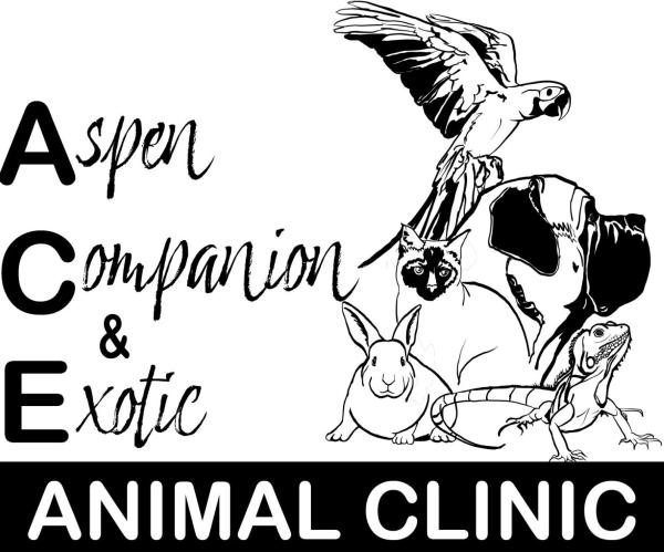 Vendor Logo