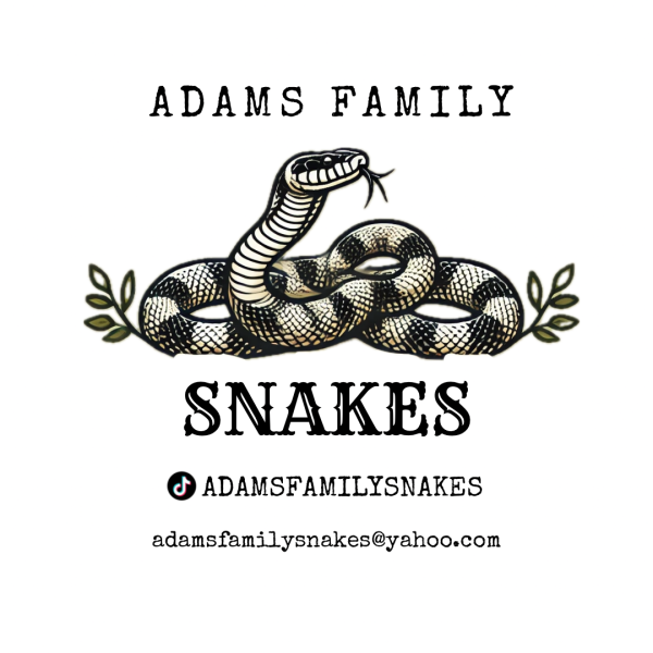 AdamsFamilySnakes  Logo