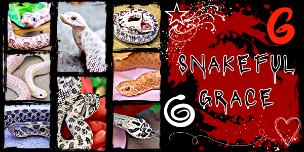 Vendor Logo