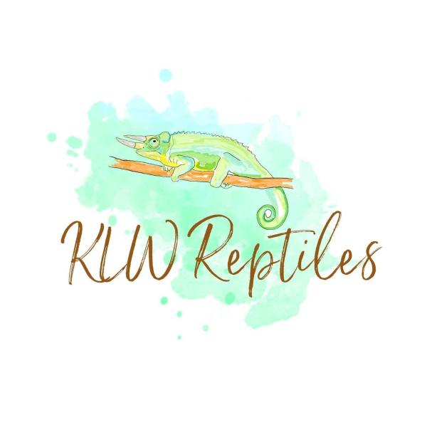 Vendor Logo