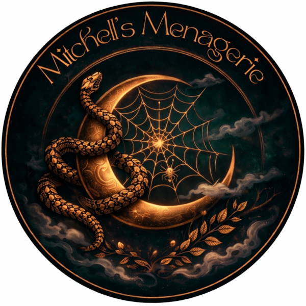 Vendor Logo