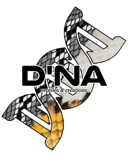 Vendor Logo