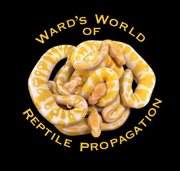 Vendor Logo