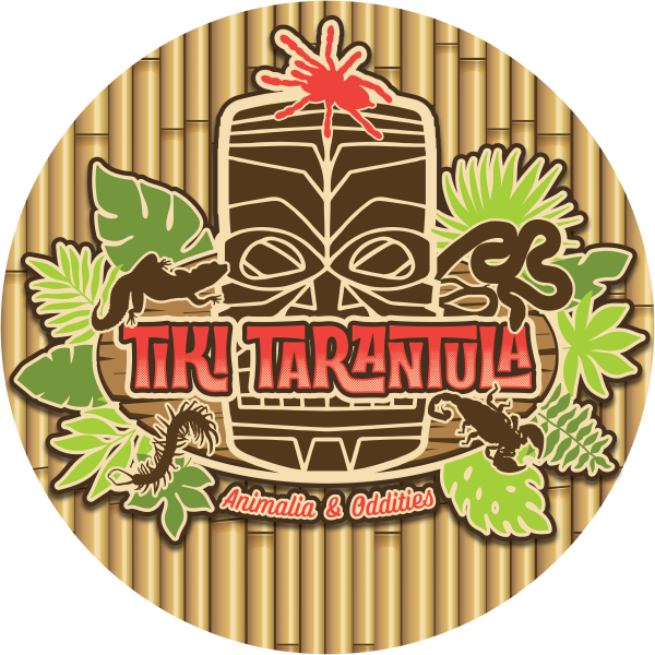 Tiki Tarantula Logo