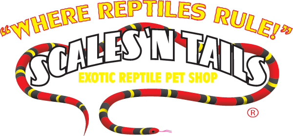 Vendor Logo