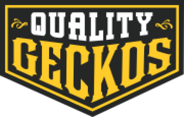 Vendor Logo