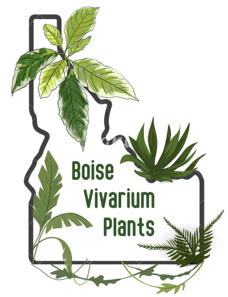 Vendor Logo