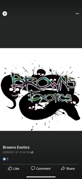 Vendor Logo