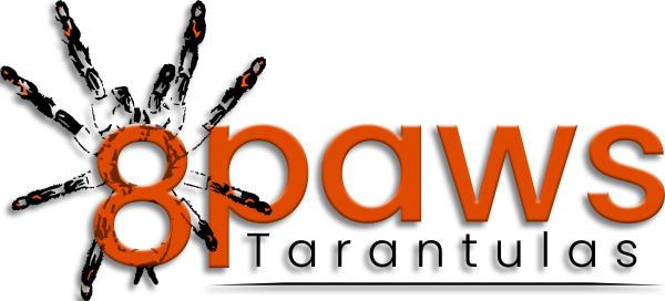 Vendor Logo