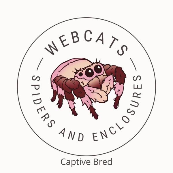 Webcats Logo