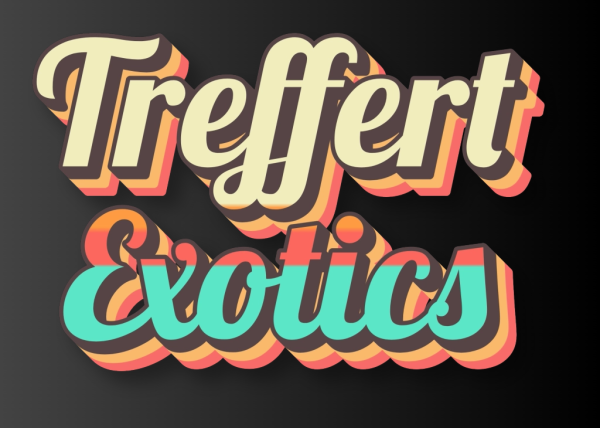 Vendor Logo