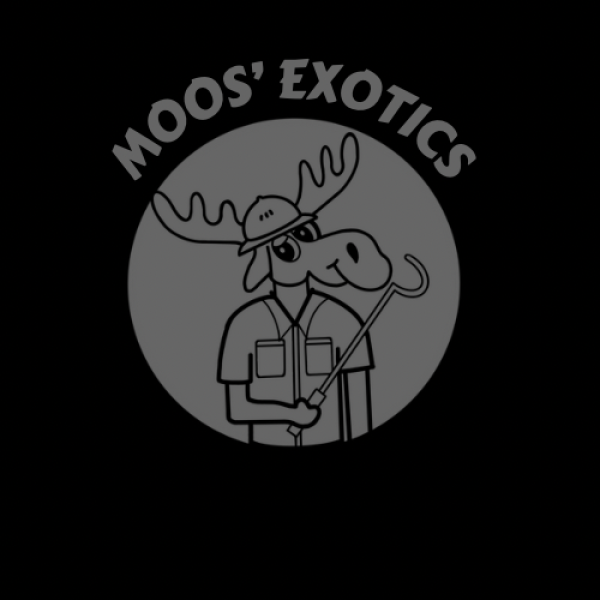 Vendor Logo