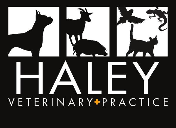 Vendor Logo