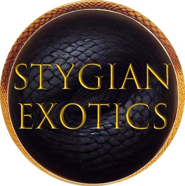 Vendor Logo