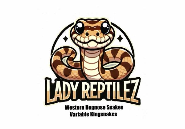 Vendor Logo