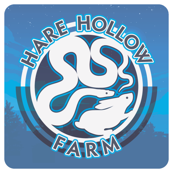 Hare Hollow Farm Logo