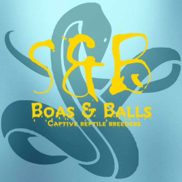 Vendor Logo