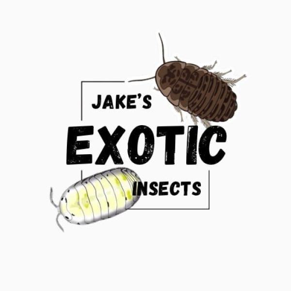 Vendor Logo
