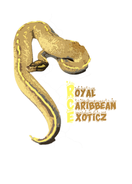 Vendor Logo