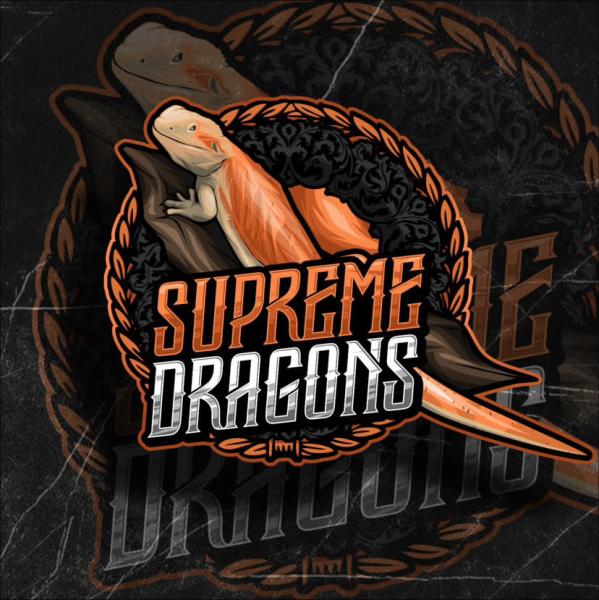 Supreme Dragons Logo