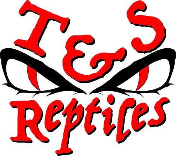 Vendor Logo