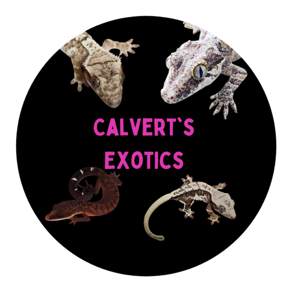 Vendor Logo
