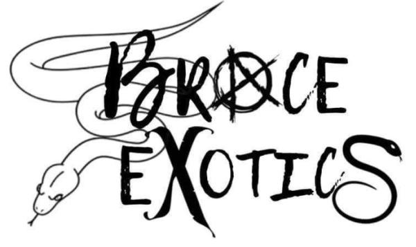 Brace Exotics Logo