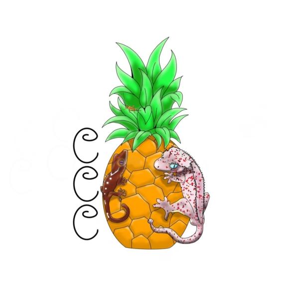Vendor Logo