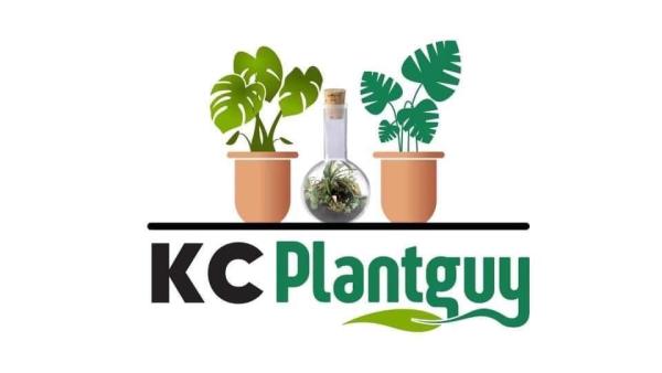 Vendor Logo
